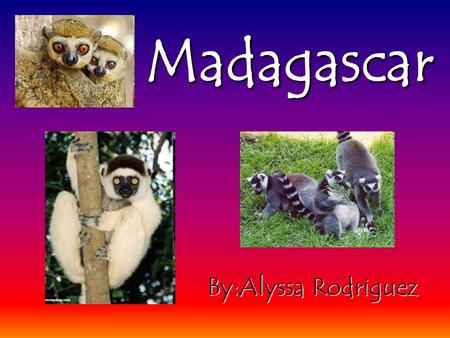 Madagascar By:Alyssa Rodriguez. 5 landforms: 1.Mt. Maromokotro 2.River Betsiboka 3.Lake Alaotra 4.Mangoky River 5.Ohilahy River 5 Major Cities: *1.Antananarivo.