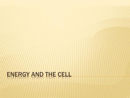 1. Matter and Energy  How they interact with each other and the environment  How they move through the environment 2. Systems  Basic Structure and.