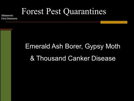 Minnesota First Detectors Forest Pest Quarantines Emerald Ash Borer, Gypsy Moth & Thousand Canker Disease.