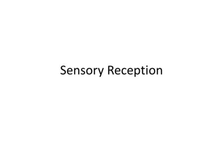 Sensory Reception. Control in Cells and Organisms Multicellular organisms are able to respond to stimuli that originate both from outside and inside their.