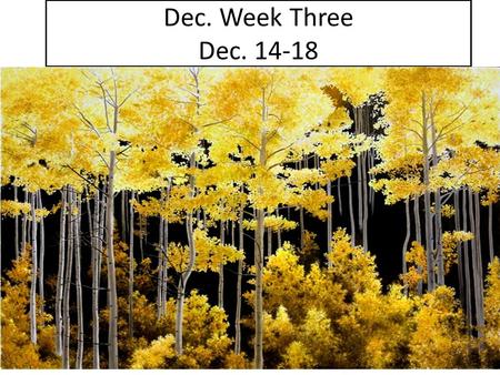 Dec. Week Three Dec. 14-18. First Hour Only 3: IDENTIFY three characters. For each, list 3-5 things you currently know or think you know about them.