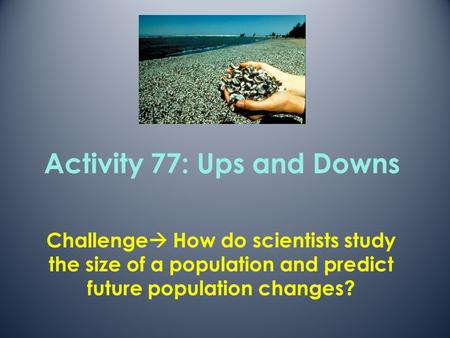 Activity 77: Ups and Downs