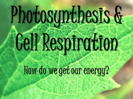 Photosynthesis & Cell Respiration