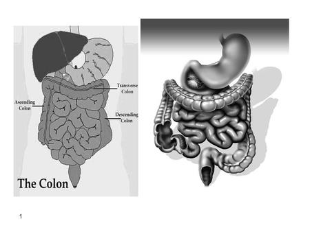 1. 2 ****Side effect: -dependence -Photosensitivity -Electrolyte imbalance( hypertension and hypokalemia) -Colonic atony. -Colonic melanoma. *****Contraindication: