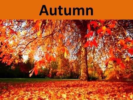 Autumn. Autumn is a third season of the year. Altogether there are four seasons: Spring Summer Autumn Winter In some countries like America, autumn is.