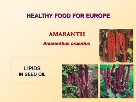 HEALTHY FOOD FOR EUROPE AMARANTH Amaranthus cruentus LIPIDS IN SEED OIL.