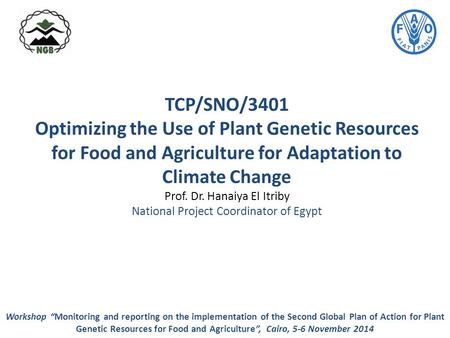 TCP/SNO/3401 Optimizing the Use of Plant Genetic Resources for Food and Agriculture for Adaptation to Climate Change Prof. Dr. Hanaiya El Itriby National.