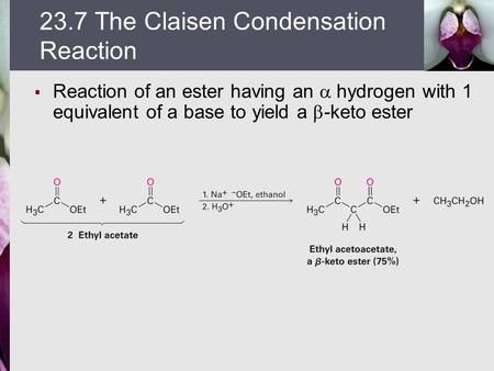 23.7 The Claisen Condensation Reaction