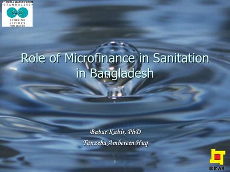 Role of Microfinance in Sanitation in Bangladesh Babar Kabir, PhD Tanzeba Ambereen Huq.