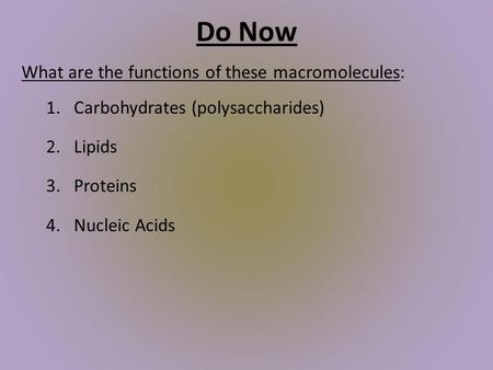 Do Now What are the functions of these macromolecules: 1.Carbohydrates (polysaccharides) 2.Lipids 3.Proteins 4.Nucleic Acids.