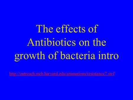 The effects of Antibiotics on the growth of bacteria intro