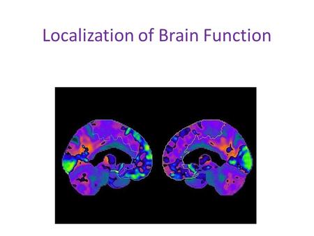 Localization of Brain Function