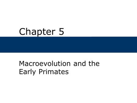 Chapter 5 Macroevolution and the Early Primates. Chapter Outline  What Is Macroevevolution?  When and Where Did the First Primates Appear, and What.