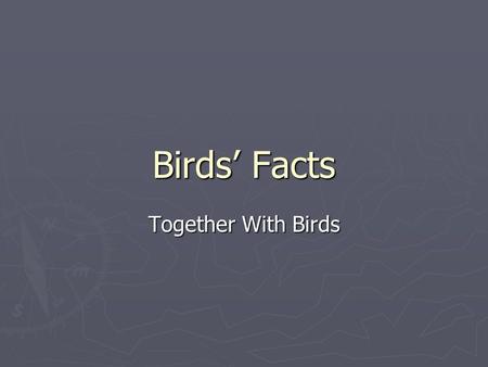 Birds’ Facts Together With Birds.