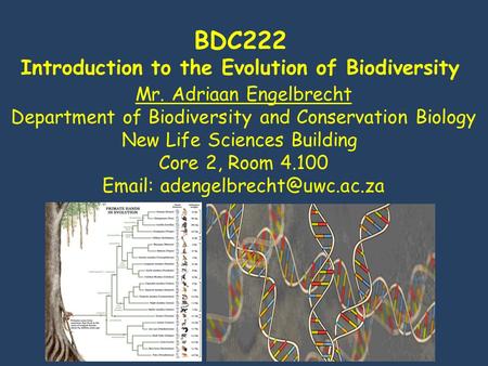 BDC222 Introduction to the Evolution of Biodiversity Mr. Adriaan Engelbrecht Department of Biodiversity and Conservation Biology New Life Sciences Building.