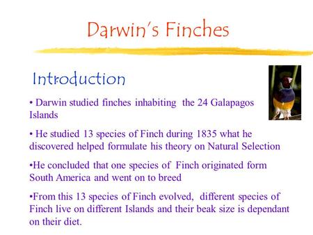 Darwin’s Finches Introduction :