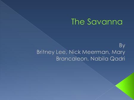 The Savanna is in parts of, South America, Africa, and a large part of India.