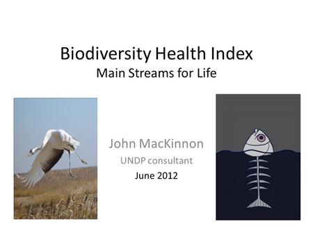 Biodiversity Health Index Main Streams for Life John MacKinnon UNDP consultant June 2012.