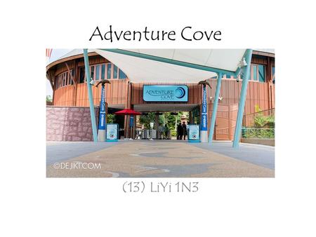 Adventure Cove (13) LiYi 1N3. Universal Studios Singapore Marine Life Park Adventure Cove Waterpark.