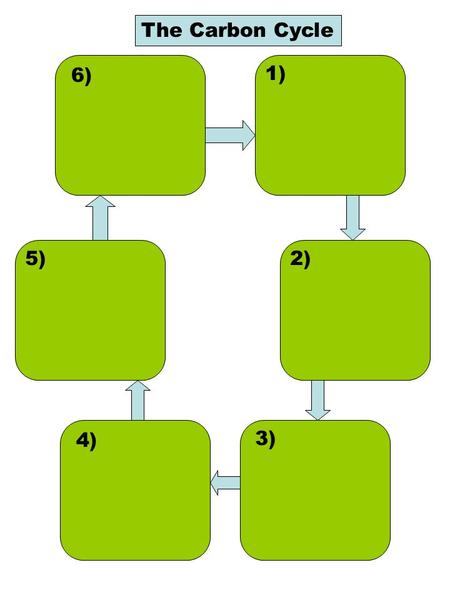 1) 2) 3) 4) 5) 6) The Carbon Cycle Carbon dioxide in the air Plants take in CO 2 for photosynthesis and release O 2. Organisms take in O 2 for cellular.