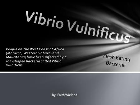 People on the West Coast of Africa (Morocco, Western Sahara, and Mauritania) have been infected by a rod-shaped bacteria called Vibrio Vulnificus. By: