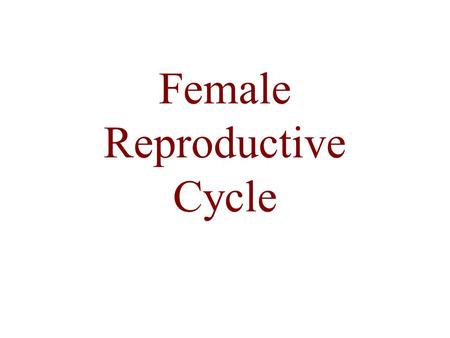 Female Reproductive Cycle