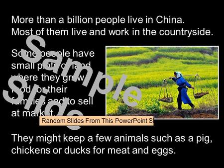 More than a billion people live in China. Most of them live and work in the countryside. Some people have small plots of land where they grow food for.