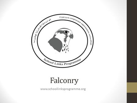 Falconry www.schoollinksprogramme.org.