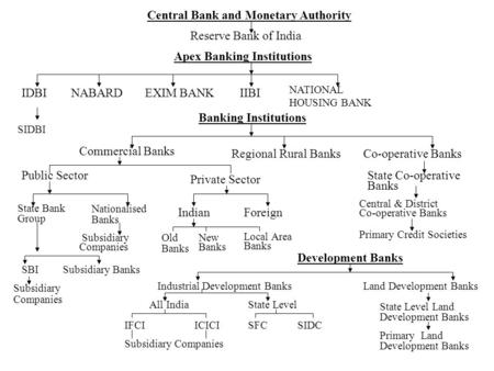 Central Bank and Monetary Authority Reserve Bank of India Apex Banking Institutions IDBINABARDEXIM BANKIIBI NATIONAL HOUSING BANK SIDBI Banking Institutions.