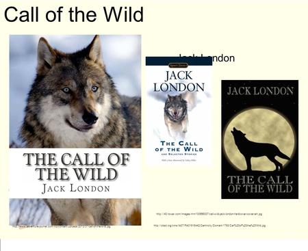 Call of the Wild - Jack London