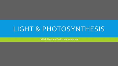 Light & Photosynthesis