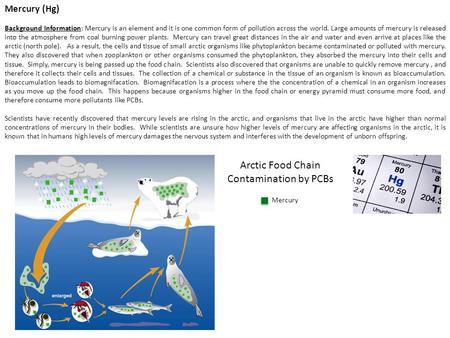 Lake Trout 4.83 Lake Trout 4.83 Mercury (Hg) Background Information: Mercury is an element and it is one common form of pollution across the world. Large.