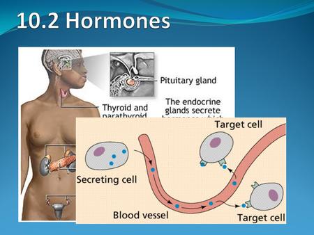 10.2 Hormones.