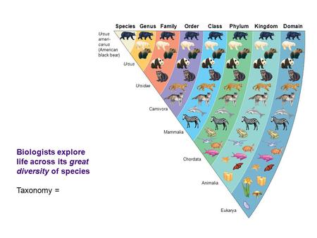 Biologists explore life across its great diversity of species