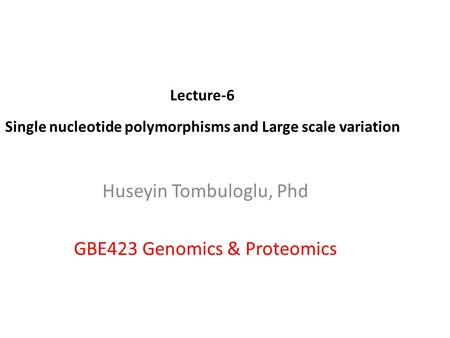 Single nucleotide polymorphisms and Large scale variation