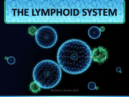 THE LYMPHOID SYSTEM Kristina C. Erasmo, M.D..