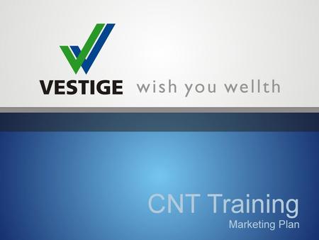 VESTIGE MARKETING PLAN