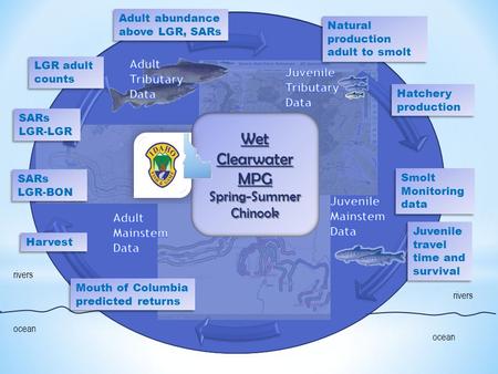 Ocean rivers SARs LGR-LGR SARs LGR-LGR Harvest Mouth of Columbia predicted returns Mouth of Columbia predicted returns Juvenile travel time and survival.