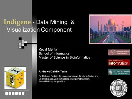 LOGO/ICON Keval Mehta School of Informatics Master of Science in Bioinformatics Andrews Dalkilic Team Dr. Mehmet Dalkilic, Dr. Justen Andrews, Dr. John.