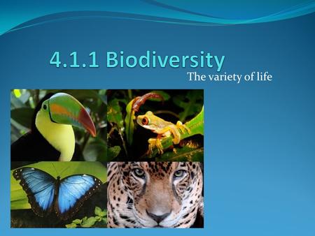 4.1.1 Biodiversity The variety of life.