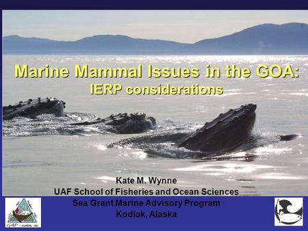 Marine Mammal Issues in the GOA: IERP considerations Kate M. Wynne UAF School of Fisheries and Ocean Sciences Sea Grant Marine Advisory Program Kodiak,