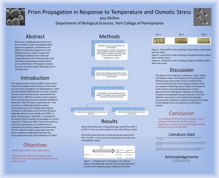 Prion Propagation in Response to Temperature and Osmotic Stress Jess Dhillon Department of Biological Sciences, York College of Pennsylvania Introduction.