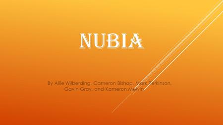 NUBIA By Allie Wilberding, Cameron Bishop, Mark Perkinson, Gavin Gray, and Kameron Melvin.