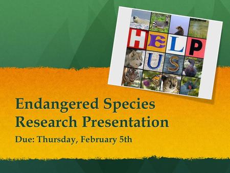 Endangered Species Research Presentation Due: Thursday, February 5th.