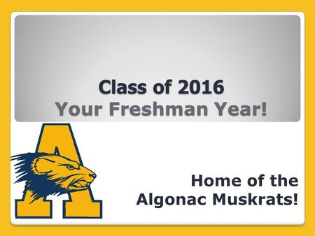 Class of 2016 Your Freshman Year!