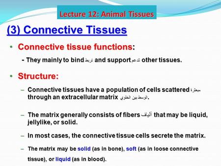 Lecture 12: Animal Tissues