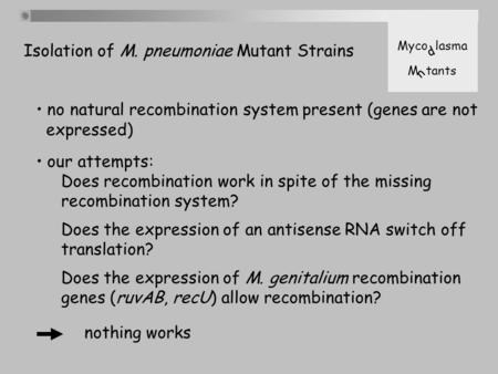 No natural recombination system present (genes are not expressed) our attempts: Does recombination work in spite of the missing recombination system? Does.