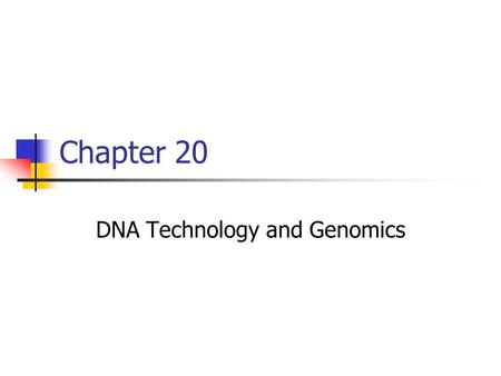 DNA Technology and Genomics