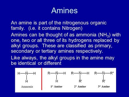 Amines An amine is part of the nitrogenous organic family. (i.e. it contains Nitrogen) Amines can be thought of as ammonia (NH 3 ) with one, two or all.