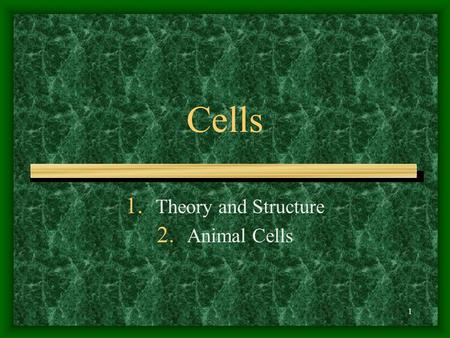 Theory and Structure Animal Cells